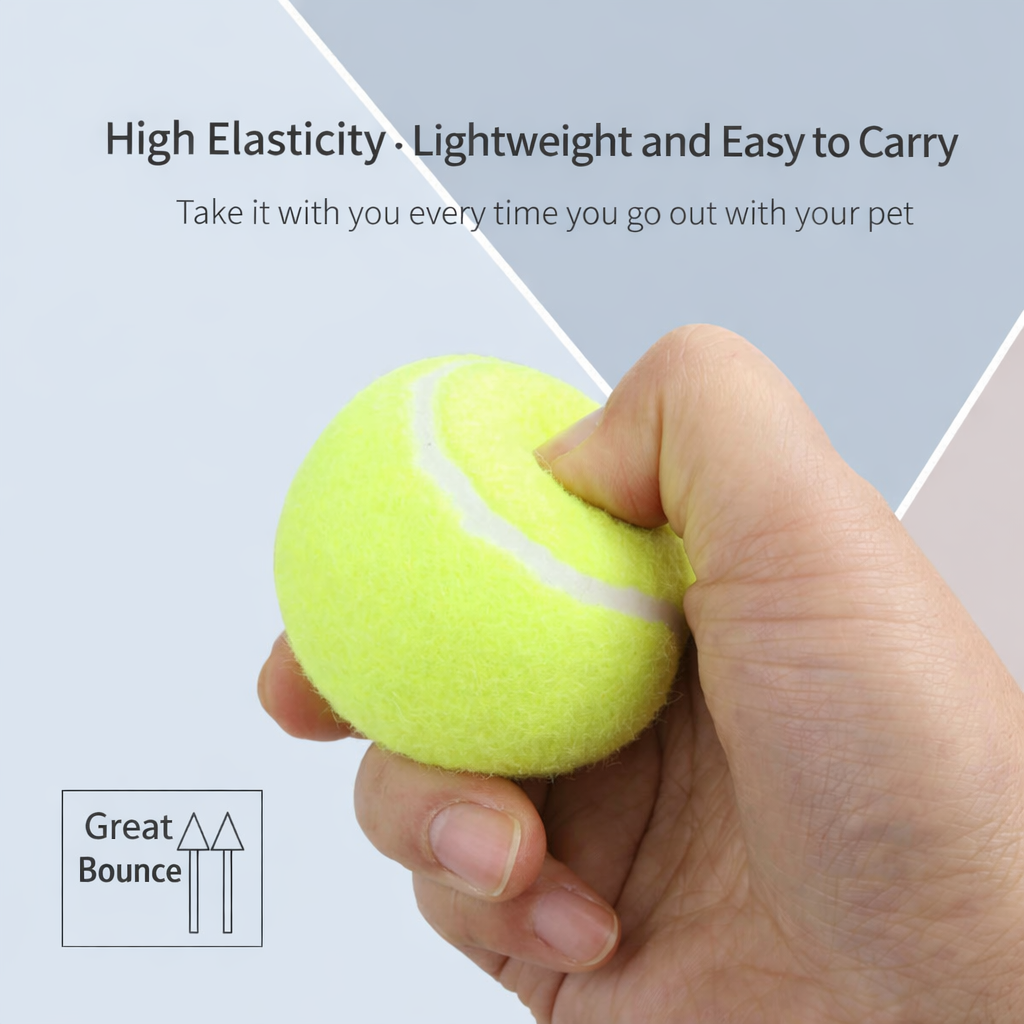 Elastic doggy tennis balls