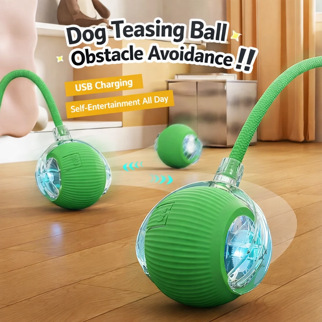 Auto-Cat & Dog Roller - Rechargeable